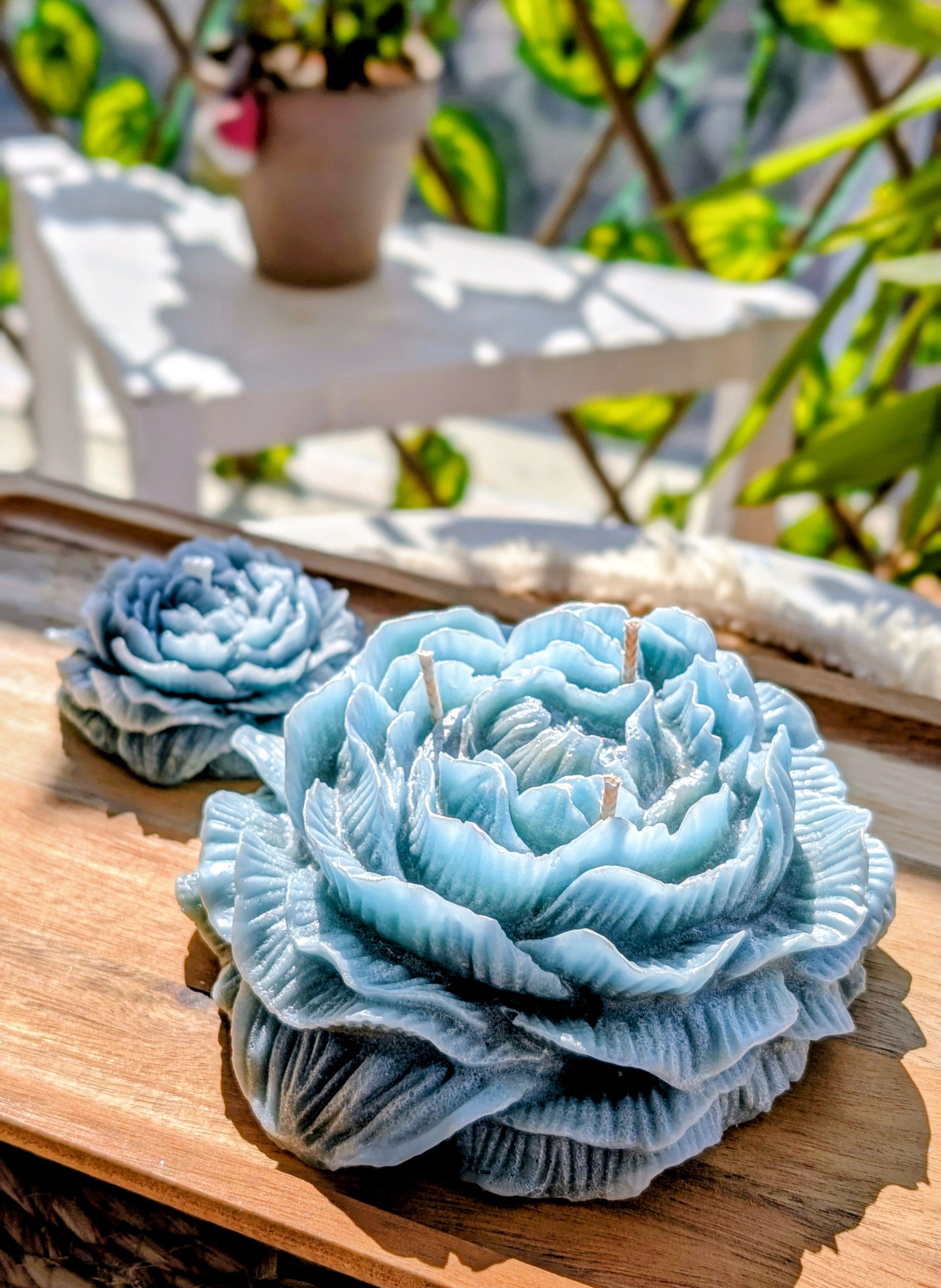 Peony Madness