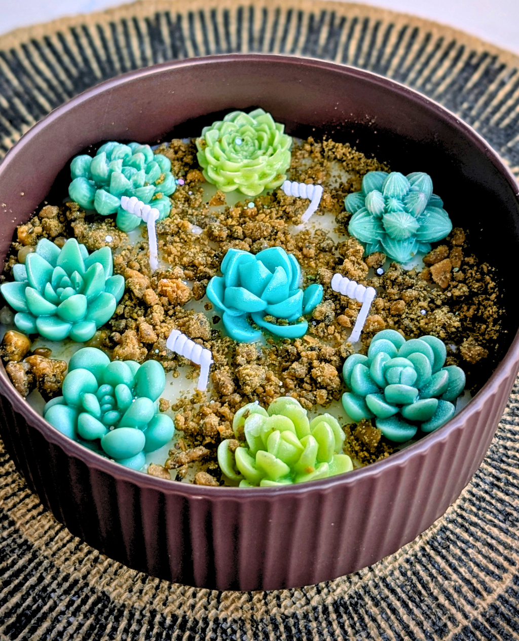 Succulent Garden