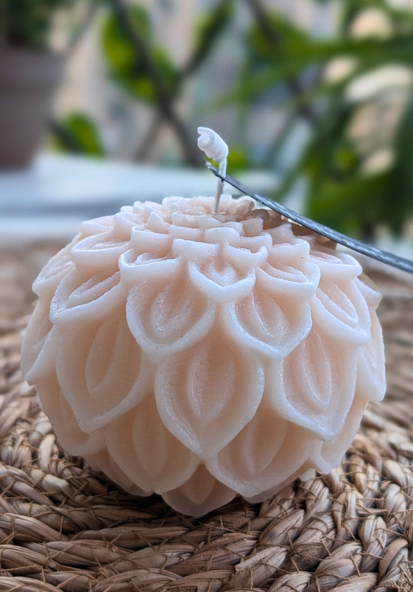 Dahlia