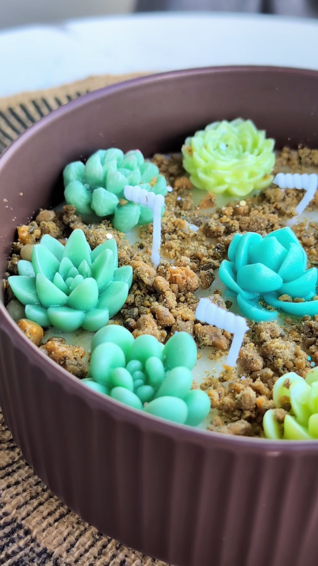 Succulent Garden
