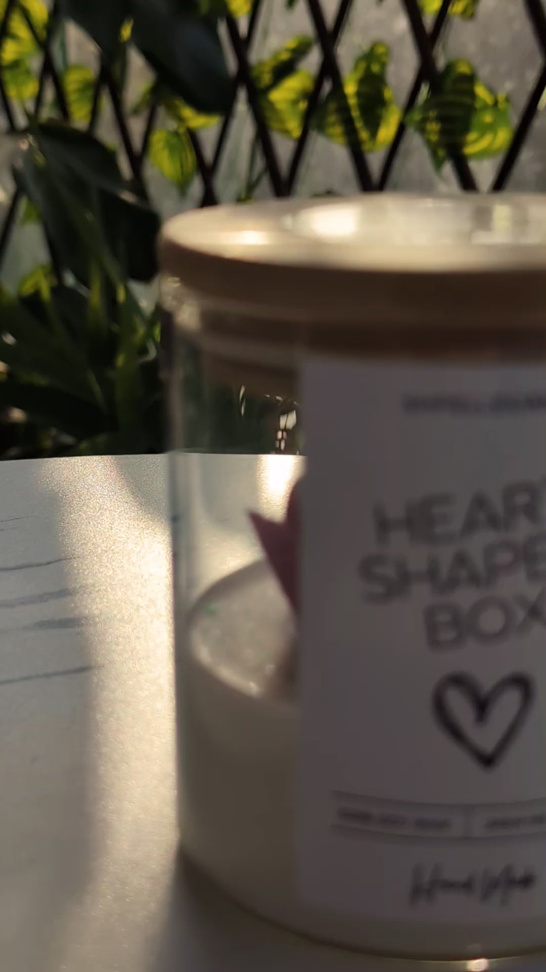 Heart Shaped Box