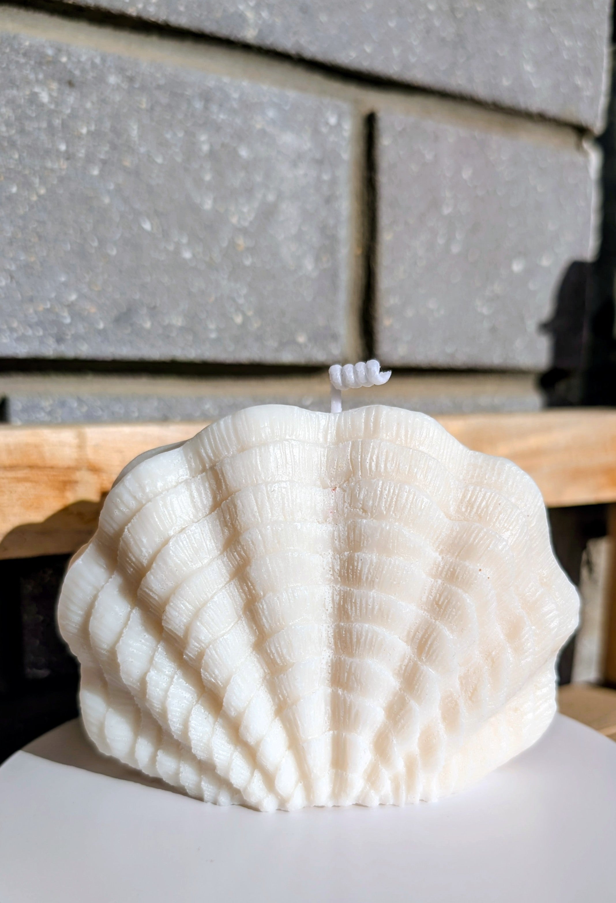 Seashell