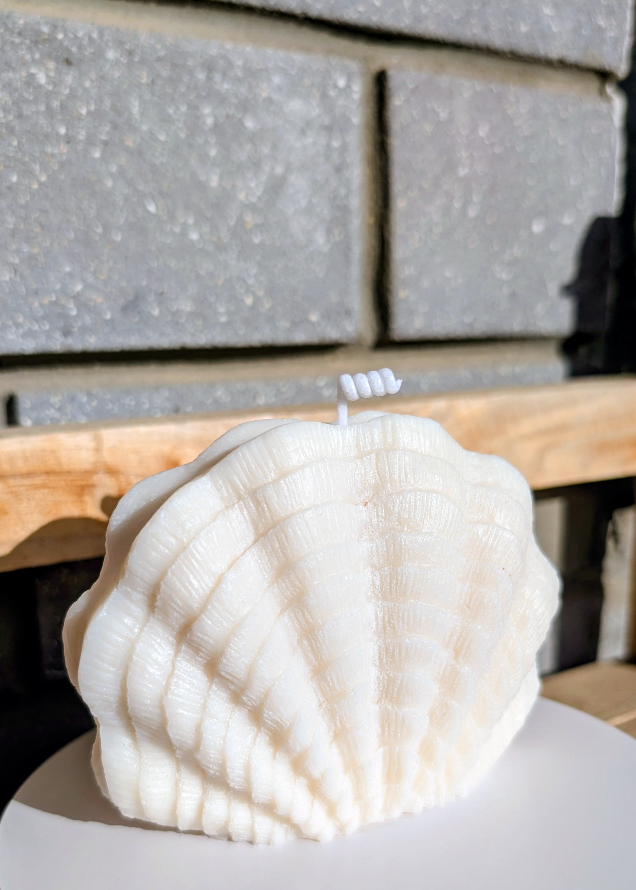 Seashell